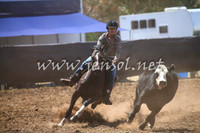 NimmitabelCampdraft2017_0239