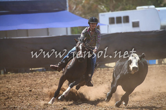 NimmitabelCampdraft2017_0239