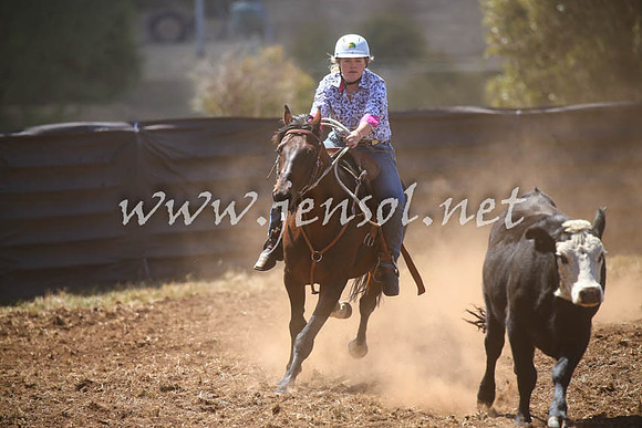 NimmitabelCampdraft2017_0407