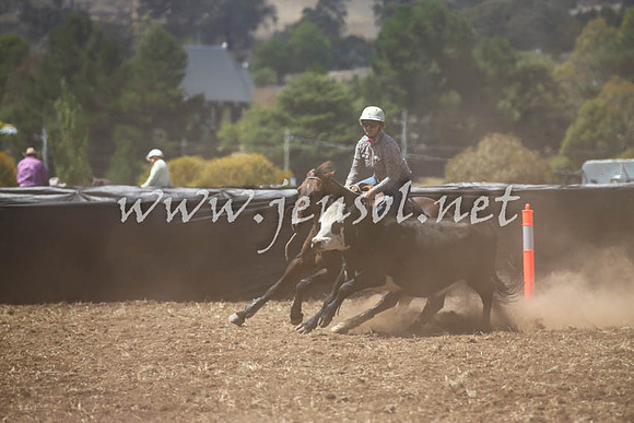 NimmitabelCampdraft2017_0306