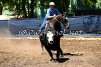 NimmitabelCampdraft2017_0074