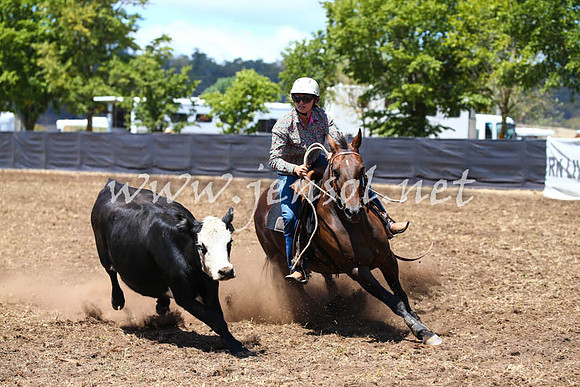 NimmitabelCampdraft2017_0286