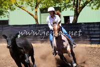 NimmitabelCampdraft2017_0214