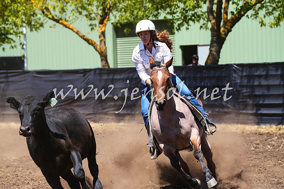 NimmitabelCampdraft2017_0214