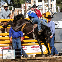 HardenRodeo_5158