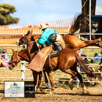 HardenRodeo_5095