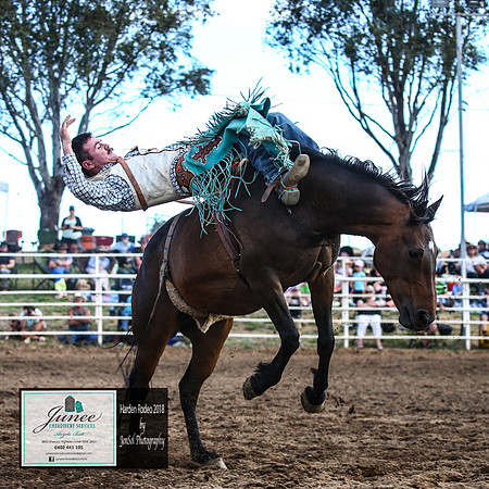 HardenRodeo_6550