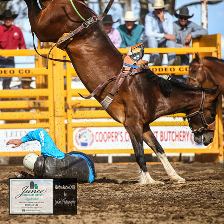 HardenRodeo_4976