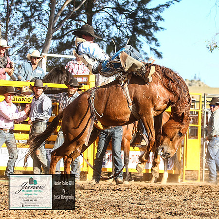 HardenRodeo_6630