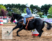BraidwoodRodeo2019_0938