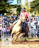 BraidwoodRodeo2019_2515