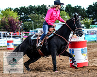 BraidwoodRodeo2019_0932