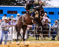 Braidwood1_0258