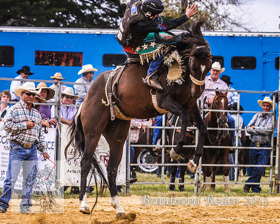 Braidwood1_0258