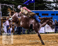 Braidwood1_0048