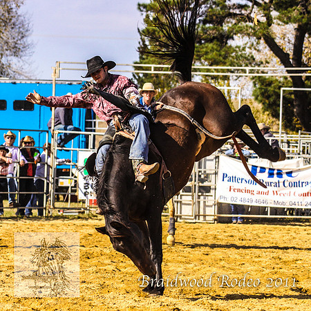 Braidwood1_0628