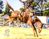 Braidwood1_0447