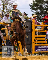 Braidwood1_0243
