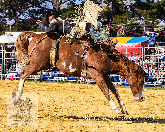 Braidwood1_0595