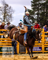 Braidwood1_0249