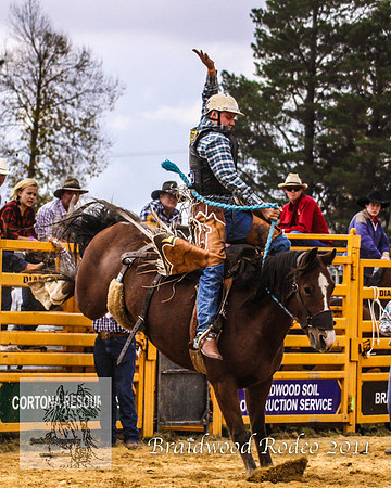 Braidwood1_0249