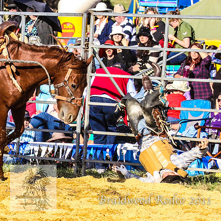 Braidwood1_0814