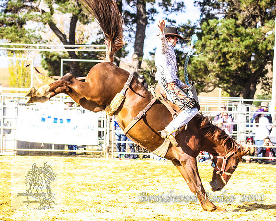 Braidwood1_0781