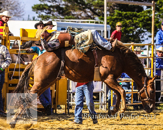 Braidwood1_0579
