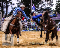 Braidwood1_0097