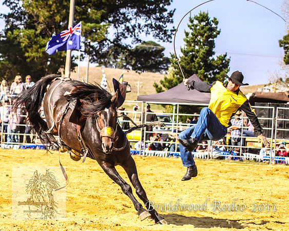 Braidwood1_0547