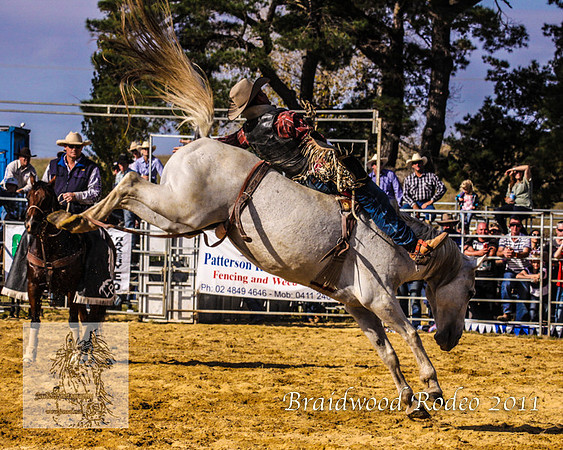 Braidwood1_0649