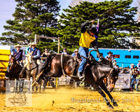 Braidwood1_0541