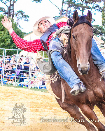 Braidwood1_0769