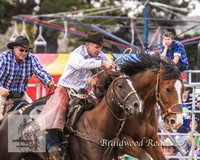 Braidwood1_0079