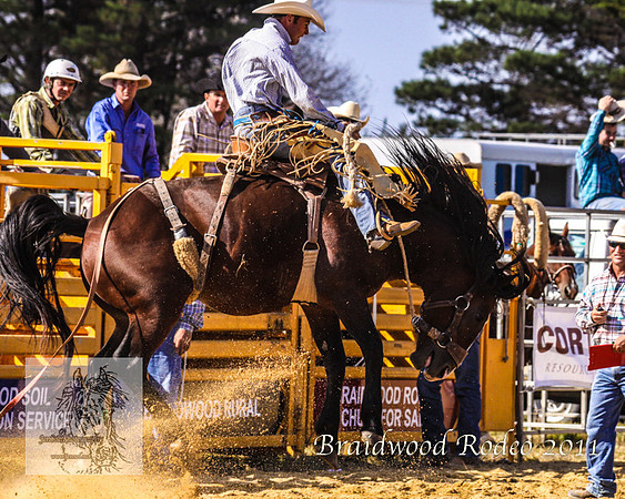 Braidwood1_0457