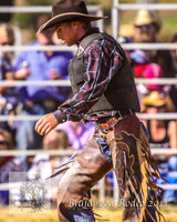 Braidwood1_0456