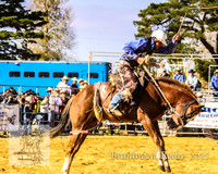 Braidwood1_0498