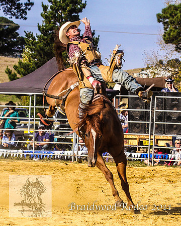Braidwood1_0616