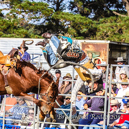 Braidwood1_0811