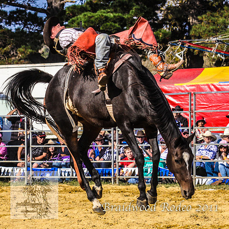 Braidwood1_0660