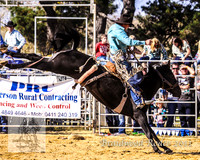 Braidwood1_0484