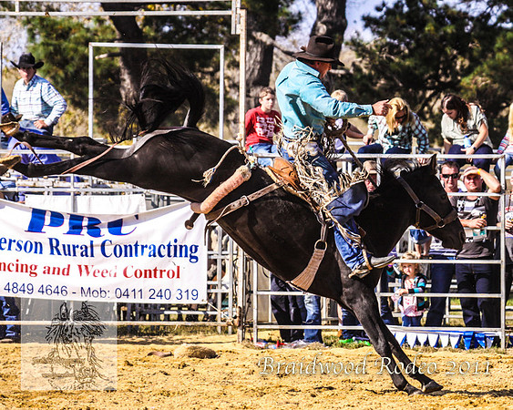 Braidwood1_0484