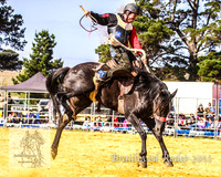 Braidwood1_0533