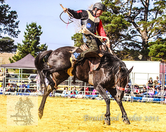 Braidwood1_0533