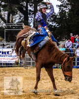 Braidwood1_0062