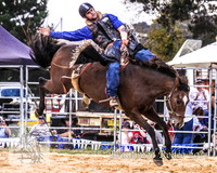 Braidwood1_0093