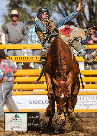 HardenRodeo_5017