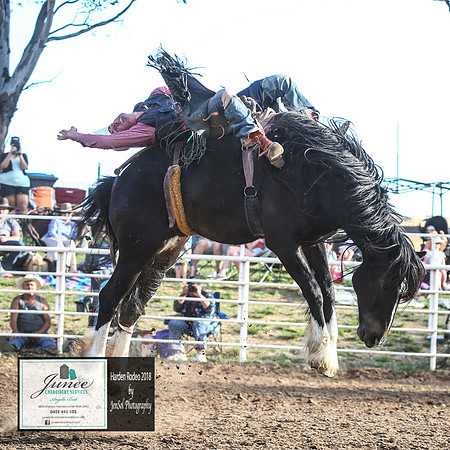HardenRodeo_6699