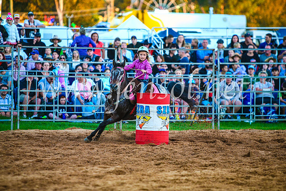 CamdenShowRodeo2017_0175