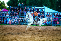 CamdenShowRodeo2017_0135